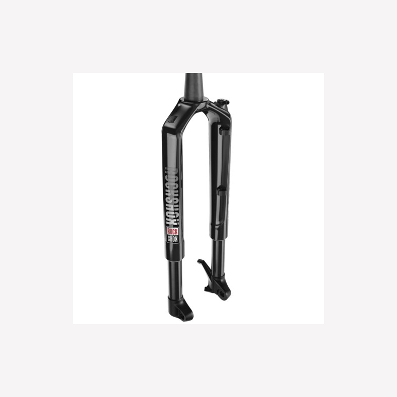 Rock Shox , Service RS1 Brain