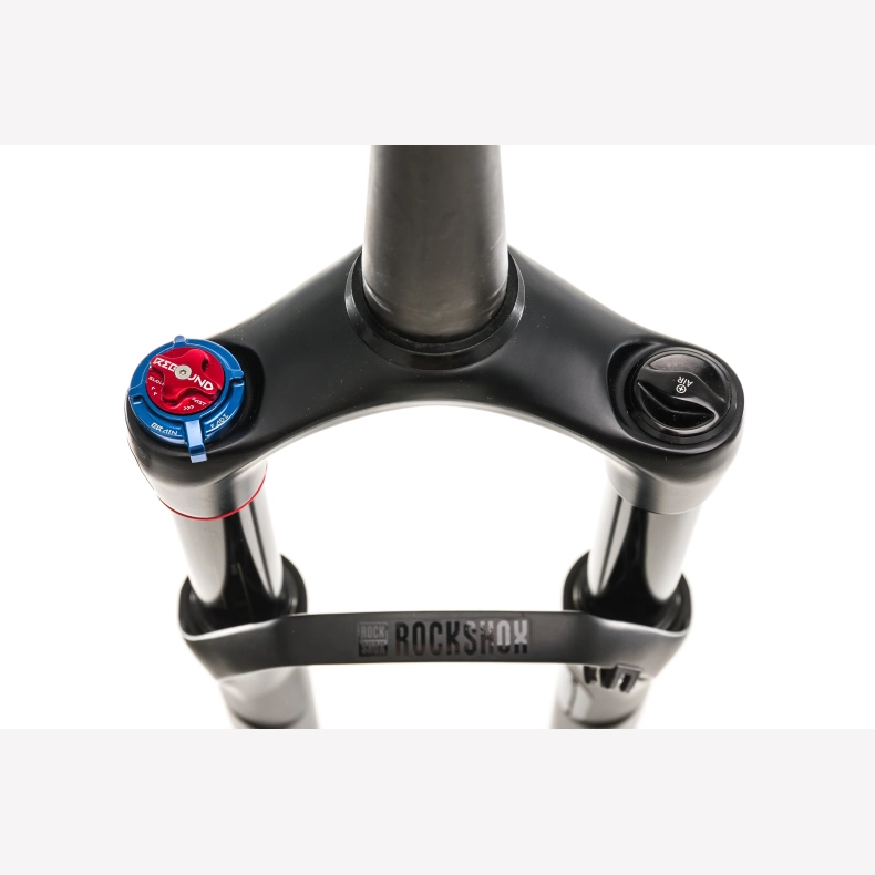 Rock Shox , Service Sid Brain