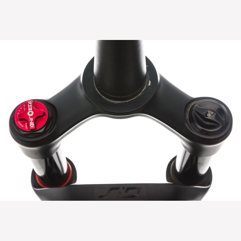 Rock Shox , Service Sid Brain