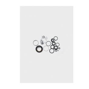 Seal Kit: 2025 Transfer Neo, Rebuild, F-S/P-SE, 34,9