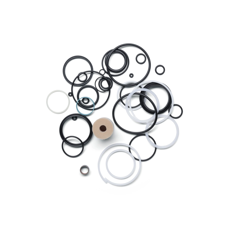 Seal Kit: FLOAT X2 Spring and Damper Rebuild 2019-2020