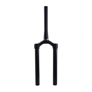 Service Set: 2020 34 Z2 and Rhythm E-Bike+ 29in 140 15x110QR Matte Black 1.5T 20mm OS CSU