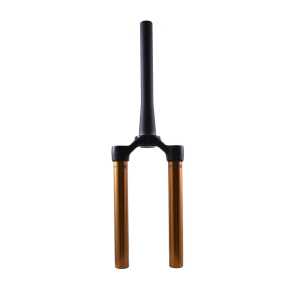 Service Set: 2021 36 E-bike+ 29in 160 15x110 Kashima Shiny Black 1.5T 16mm OS (51 Rake) 58mm Str Boss OD CSU