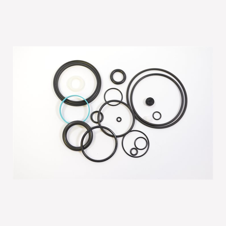 Seal Kit: CTD Boost Valve and Dish Shock Rebuild