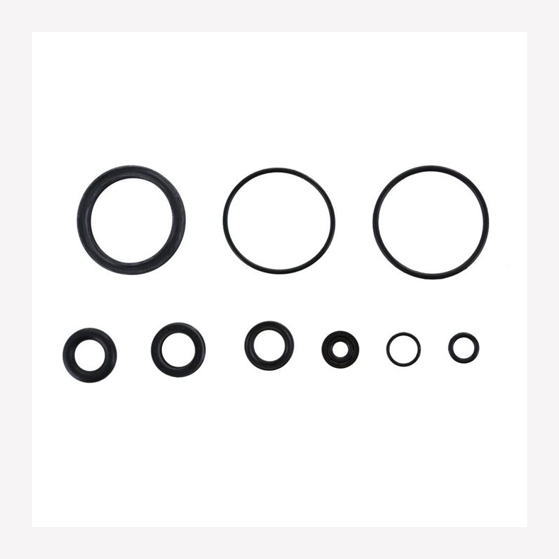 Seal Kit: 36 FLOAT NA2 Rebuild