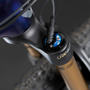 Service Set: 2019 36 26/27.6/29in 180mm Max, 8mm, CL, BXL, 3 Bleed, LIVE Cart Assy Complete