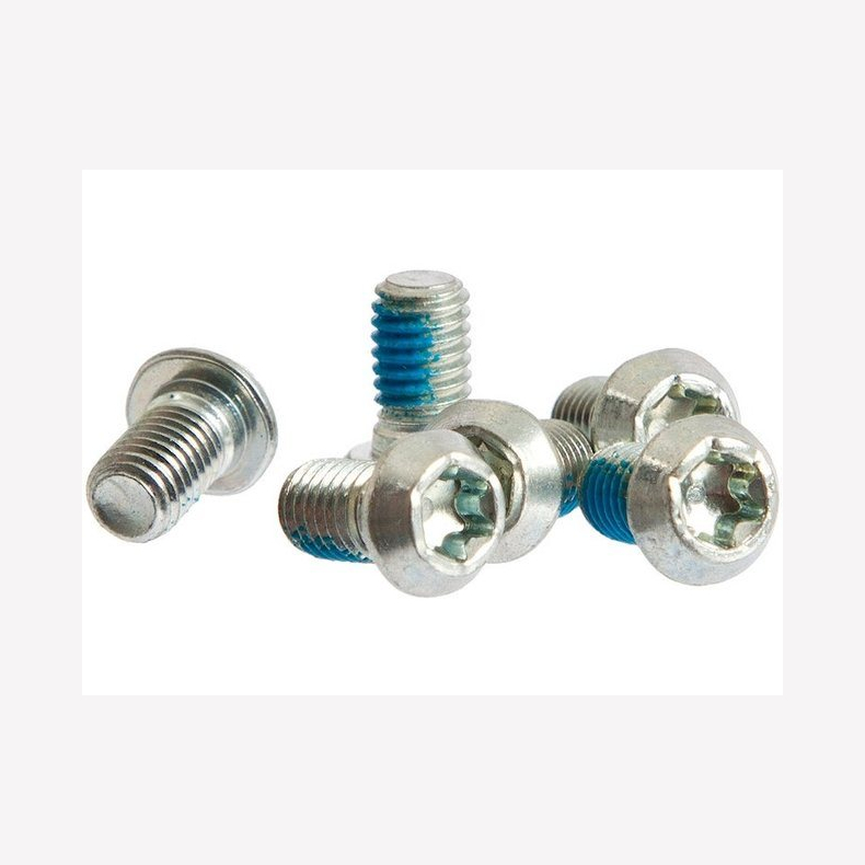 Disc screws kit (6 pcs.)