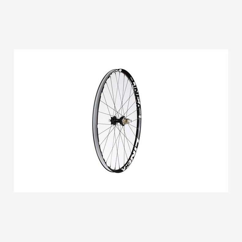 Linea 2 29" rear (Standard), 142 mm, XC/All Mountain, Shimano HG