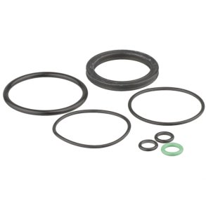 Formula Overhaul/O-ring Kit Selva S