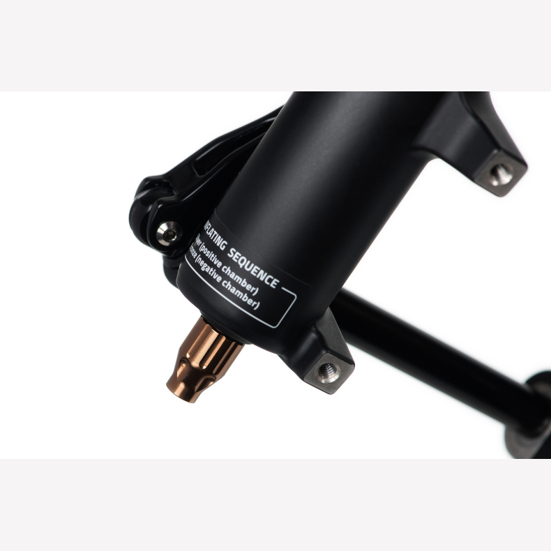 SELVA C, 27.5", Matte Black, 160mm